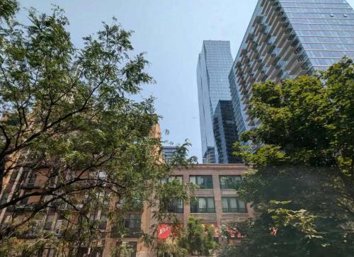 a group of tall buildings in a city with trees at South Loop 2 Bedroom Apt in Chicago