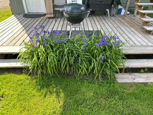 a garden with purple flowers on a deck at Bear Mountain View 4BR Home- Only 25 Min from Anchorage, Great Central location ,- 5 star property in Eagle River