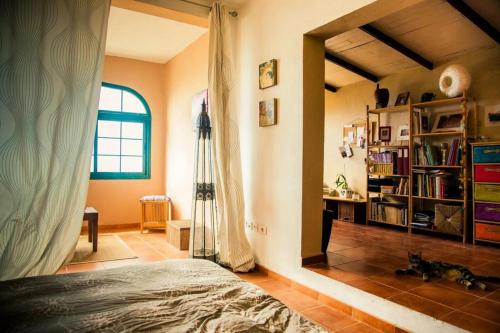 a bedroom with a bed and a book shelf at CHALET TENERIFE 5 Estrellas in La Laguna