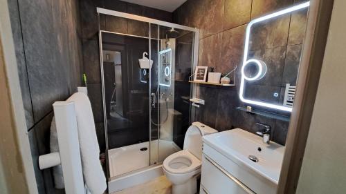 a bathroom with a shower and a toilet and a sink at Apartment in Downtown in Châteaubriant
