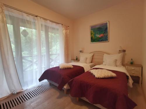 two beds in a room with a window at Ekosamotnia in Kraków