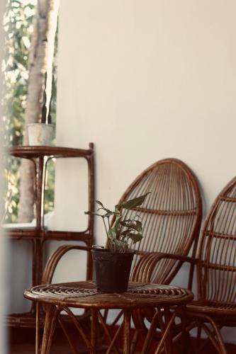 two chairs and a table with a potted plant on it at AquaTerra Comfy stay Varkala beach in Varkala