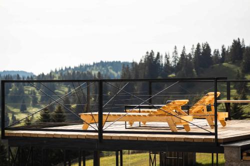 a wooden toy airplane sitting on top of a deck at Fanar Chalet in Glodu