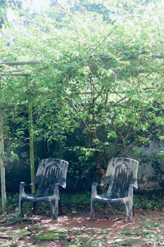 two chairs sitting next to each other under a tree at AquaTerra Comfy stay Varkala beach in Varkala