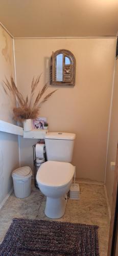 a bathroom with a toilet and a mirror on the wall at PO NENDRIŲ STOGU in Šiauliai