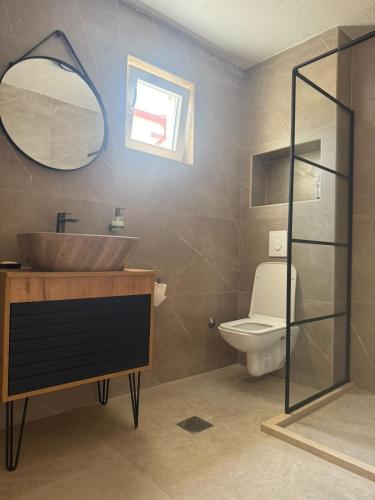 a bathroom with a sink and a toilet and a mirror at Mila in Danilovgrad