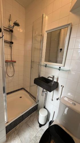 a bathroom with a shower and a sink and a toilet at Vakantiehuis Toxopeus in Burgh Haamstede