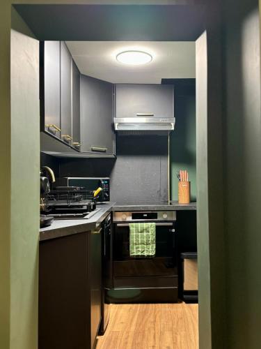 - une cuisine avec des armoires noires et une cuisinière dans l'établissement Le Repère Royal Blois, Hypercentre, à Blois