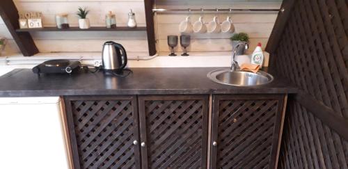 a kitchen with a sink and a counter top at Tuvāk dabai in Aglona