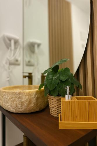 a plant in a basket sitting on a counter with a sink at Vila AMAZON in Dubova