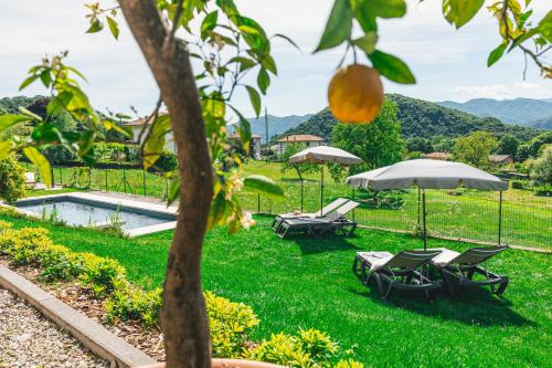 a backyard with a pool and chairs and umbrellas at La Tizzana in Armeno