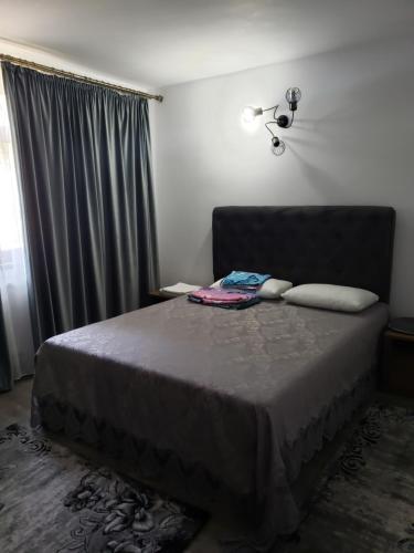 a bedroom with a bed with a lamp and a window at Lotca_lu_Vasile in Crisan