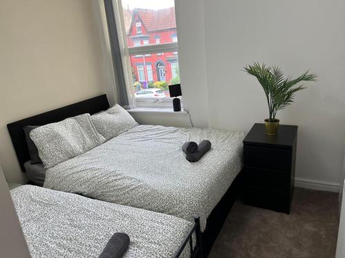 a bedroom with a bed and a window with a plant at Cozy Apartment, Parking, Wi-Fi, Sleeps 5 in Liverpool
