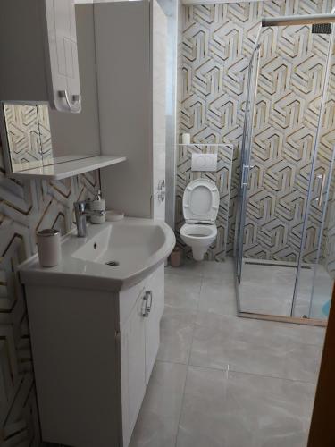 a bathroom with a sink and a toilet and a shower at Apartman Aldina in Bihać