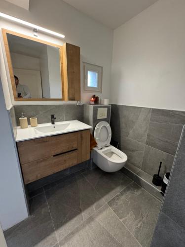 une salle de bain avec un lavabo, des toilettes et un miroir dans l'établissement La Terrasse Ouest, à Thonon-les-Bains