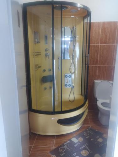 a shower in a bathroom with a toilet at BoHan sobe Vladičin Han in Vladičin Han