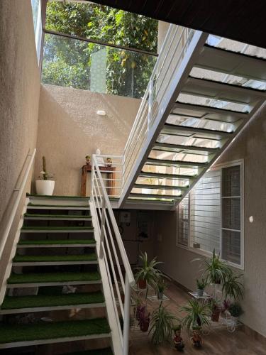 a staircase in a house with a glass ceiling at Tropica Retreat by Dazzle Destinations - Private Waterfalls, Private Rooms and Bonfire in Aldūr