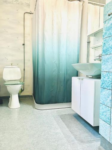 a bathroom with a toilet and a shower and a sink at Fyra rum och kök i Mellanfjärden in Mellanfjärden