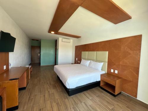 a bedroom with a bed and a desk and a television at Hotel Mamá Dolores in Dolores Hidalgo