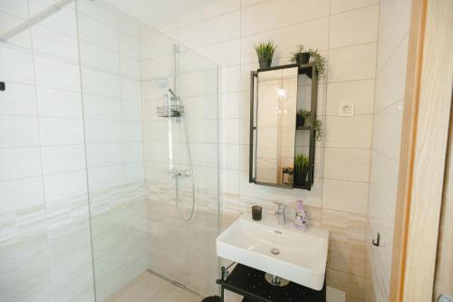 a bathroom with a shower and a sink and a mirror at Nordic House Apartment A1 in Kranjska Gora