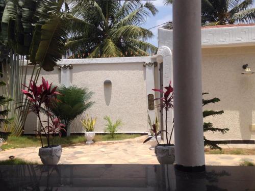 a courtyard with potted plants in front of a building at The Manor in Lomé