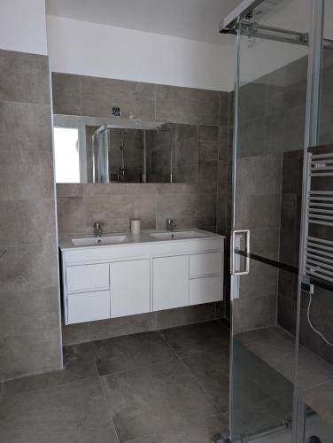 une salle de bain avec un lavabo et une douche en verre dans l'établissement Appartement tout confort à l'Ile-Rousse, à LʼÎle-Rousse