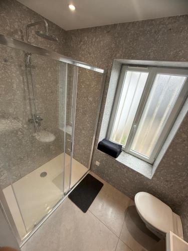 une salle de bain avec douche et toilettes et une fenêtre dans l'établissement Mini cosy, à Lille
