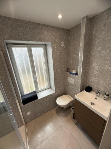 une salle de bain avec toilettes, lavabo et fenêtre dans l'établissement Mini cosy, à Lille