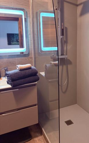 une salle de bain avec douche et lavabo dans l'établissement Gîtes Hassenforder, à Kaysersberg