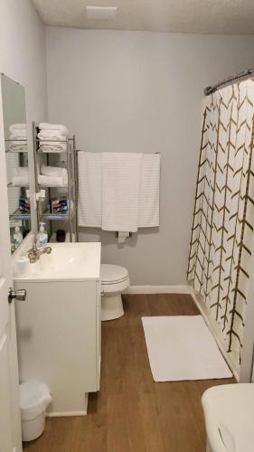 a bathroom with a sink and a toilet and a shower at Sparkling Fresh Soldier's Pad 7 Mi to Fort Bragg in Fayetteville