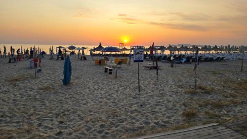 Ejoa summer