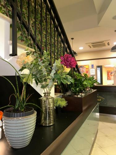 two vases with flowers on a counter in a store at Hotel Dei Tartari in Guidonia