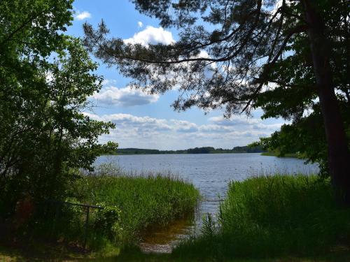 a view of a lake through the trees at Ferienhaus am Garder See Inselblick in Lohmen