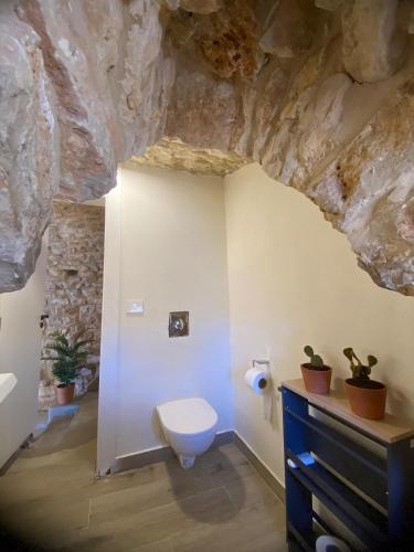 a bathroom with a toilet and a rock wall at Abou El Joun - Batroun in Batroûn