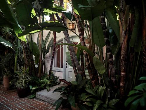 a bunch of plants in front of a door at Chateau Marmont in Los Angeles