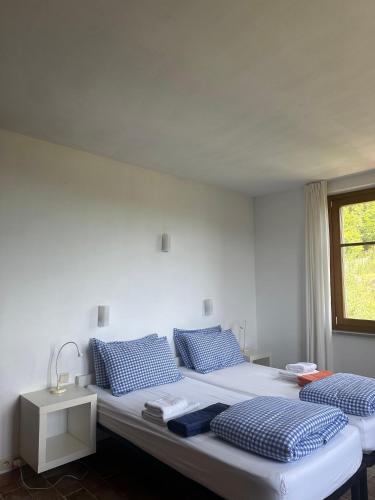 a bedroom with two beds with blue pillows and a window at Collina Di Sopra in Tresana