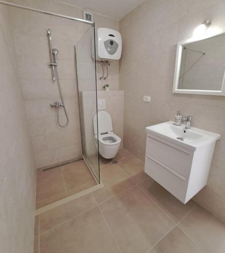 a bathroom with a shower and a toilet and a sink at Apartman Matea in Igrane