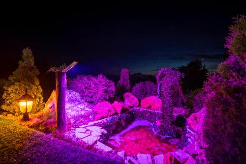 a night view of a garden with purple lights at Panorama Villa House Sarajevo- Jacuzzi, Bazen & Pogled na Grad 2 in Petruše