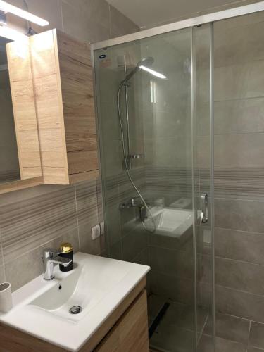 ein Badezimmer mit Glasdusche und Waschbecken in der Unterkunft Daisy in Užice