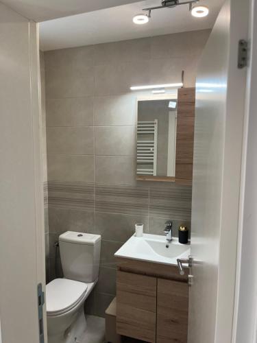 a bathroom with a toilet and a sink and a mirror at Daisy in Užice