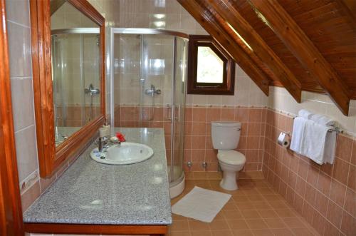 a bathroom with a sink and a shower and a toilet at Villa Pasyon in La Digue