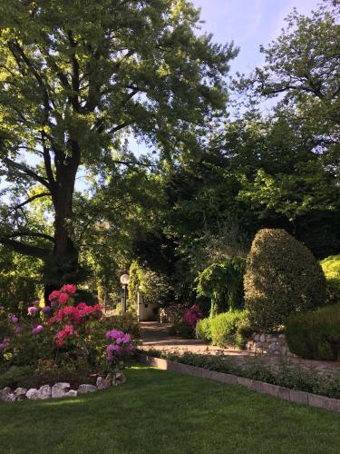 a garden with flowers and trees and a path at Il Pioppo Antico in Viggiù
