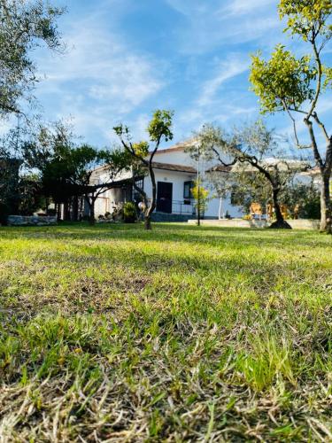 a house with a field of grass and trees at Casa Maria in Scauri