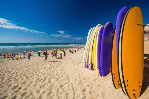 un grupo de tablas de surf alineadas en una playa en Mobil-home Clim, TV, LV Camping LES OYATS 4 étoiles - MH-A017, en Seignosse