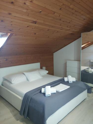 Apartments Oliva