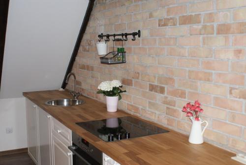 a kitchen with a brick wall and a sink at Casa Porumbacu 295 in Porumbacu de Sus