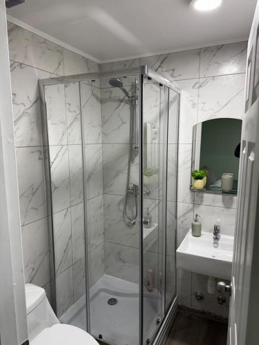 a bathroom with a shower and a toilet and a sink at Departamento Studio Full 109 in Osorno
