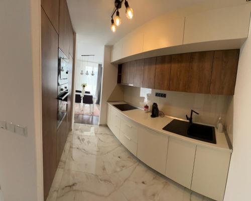 Kuchyň nebo kuchyňský kout v ubytování Lux Apartment Gusinjac