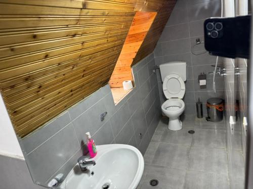 a bathroom with a sink and a toilet at Bujtina Carku in Theth