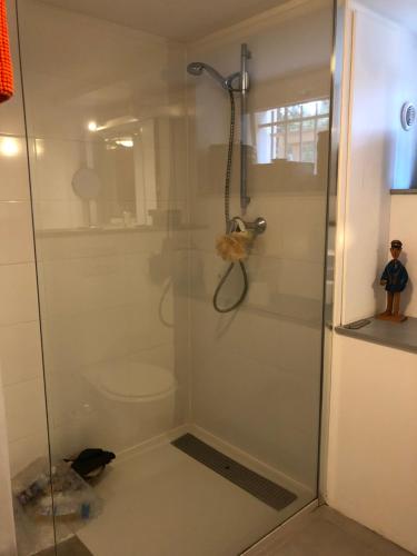 une cabine de douche avec toilettes dans une salle de bain dans l'établissement Grand studio vue sur la piscine, à Montferrier-sur-Lez